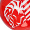 Balón ATH Bilbao Athletic Club de Bilbao