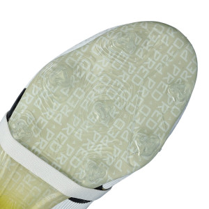 SUELA-3