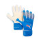 Puma Ultra Pro Negativ Handschuh