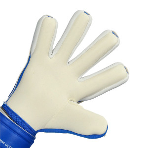 PALME-1