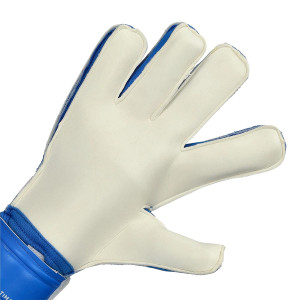 PALME-1