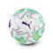 Balón Puma Orbita Match Premier League Thrill 2025-2026 Fifa Quality