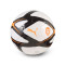Puma Valencia CF 2025-2026 Ball