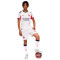 Puma Ac Milan Authentic 2025-2026 Away Jersey