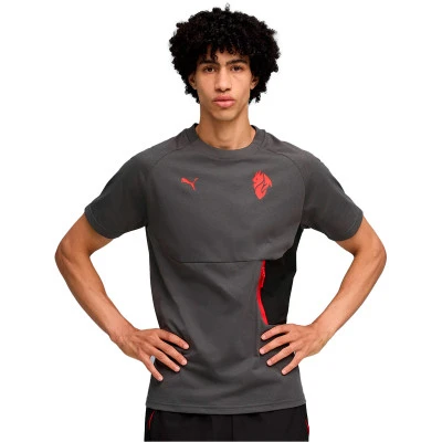 AC Mailand Fanswear 2025-2026 T-Shirt