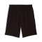 Short Puma Ac Milan Fanswear 2025-2026