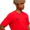 Camiseta Puma AC Milan Fanswear 2025-2026