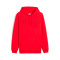 Sudadera Puma Ac Milan Fanswear 2025-2026