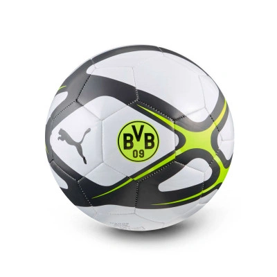 Ballon BVB Borussia 2025-2026