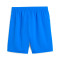 Puma Valencia Cf  2025-2026 Third Shorts