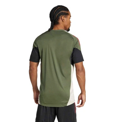 Camiseta FC Bayern Training 2025-2026