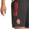 adidas FC Bayern 2025-2026 Training  Shorts