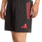 adidas FC Bayern 2025-2026 Training  Shorts