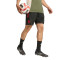 adidas FC Bayern 2025-2026 Training  Shorts