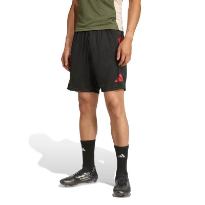 FC Bayern 2025-2026 Training Shorts