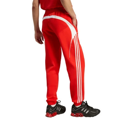 Pantalon Fc Bayern Urban Purist Fanswear 2025-2026