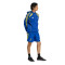 Sudadera adidas Juventus Fanswear 2025-2026