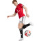 adidas Manchester United 2025-2026 Heim Shorts