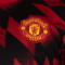 adidas Manchester United 2025-2026 Pre-Match Jersey