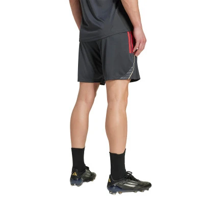 Olympique Lyon 2025-2026 Training Shorts