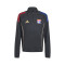 adidas Training für Kinder OL 2025-2026 Sweatshirt