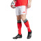 adidas SLB Benfica 2025-2026 Home Shorts