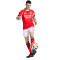 adidas SLB Benfica 2025-2026 Home Shorts