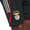 Calções adidas SLB Benfica Training 2025-2026 Criança