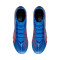Zapatos de fútbol Puma Ultra 6 Match FG/AG