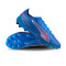 Zapatos de fútbol Puma Ultra 6 Ultimate AG