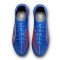 Zapatos de fútbol Puma Ultra 6 Ultimate AG