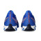 Puma Ultra 6 Match IT Futsal shoes