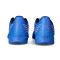 Puma Ultra 6 Play IT Futsal shoes
