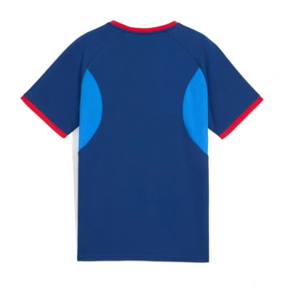 PUMA Camiseta Neymar Jr Playmaker Jersey Jr — photo 4