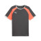 Playera Puma Individualliga Jersey