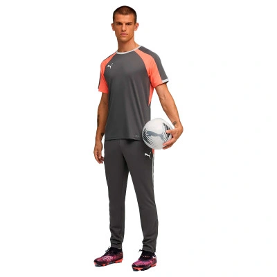 PUMA Camiseta Individualliga Jersey — photo 5