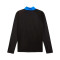 Sudadera Puma Individualliga 1/4 Zip Top