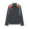 Sudadera Puma Individualliga 1/4 Zip Top Niño