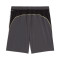 Puma M Run Velocity 7" kurz Shorts