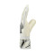 Reusch Attrakt Solid Unai Simón Handschuhe