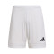 Calções adidas Squadra 25 II