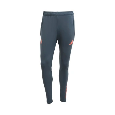 Pantalón largo Fc Bayern Training 2025-2026