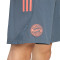 Short adidas Fc Bayern Fanswear 2025-2026
