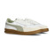 Puma Indoor Trainers