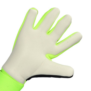PALME-1