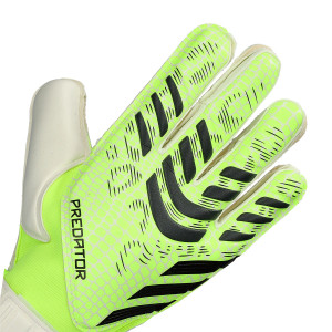 DORSO-2
