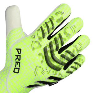 DORSO-2