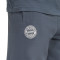 adidas FC Bayern 2025-2026 Fanswear Shorts