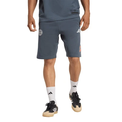 FC Bayern Fanswear 2025-2026 Shorts