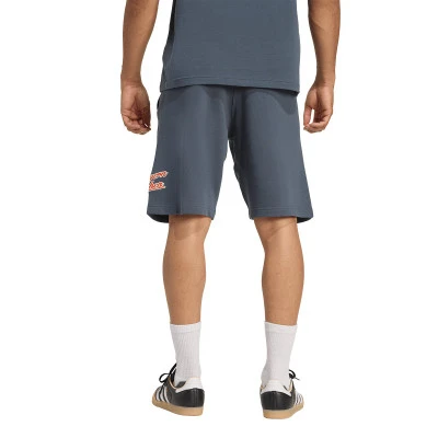 FC Bayern 2025-2026 Fanswear Shorts